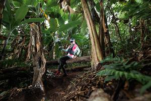 BIB: 
                            <button type="button" onclick="openModal(22414629)" class="btn btn-primary btn-sm float-right btn-popup" data-toggle="modal" data-target=".modal-high-quality">
                        <i class="fas fa-shopping-cart"></i> Add to Cart
                    </button>
                                            <button type="button" onclick="isThisMe(22414629, true)" class="btn btn-success btn-sm float-right btn-popup btn-isme hidden" data-toggle="tooltip" data-placement="bottom" title="นี่คือรูปของคุณใช่ไหม คลิกที่นี่เพื่อเอาเข้าอัลบั้ม">
                        <i class="fas fa-plus"></i> Add to album
                    </button>
                    <button type="button" onclick="isThisMe(22414629, false)" class="btn btn-warning btn-sm float-right btn-popup btn-isnotme hidden">
                        <i class="fas fa-ban"></i> Remove from album
                    </button>