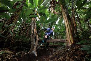 BIB: 
                            <button type="button" onclick="openModal(22417088)" class="btn btn-primary btn-sm float-right btn-popup" data-toggle="modal" data-target=".modal-high-quality">
                        <i class="fas fa-shopping-cart"></i> Add to Cart
                    </button>
                                            <button type="button" onclick="isThisMe(22417088, true)" class="btn btn-success btn-sm float-right btn-popup btn-isme hidden" data-toggle="tooltip" data-placement="bottom" title="นี่คือรูปของคุณใช่ไหม คลิกที่นี่เพื่อเอาเข้าอัลบั้ม">
                        <i class="fas fa-plus"></i> Add to album
                    </button>
                    <button type="button" onclick="isThisMe(22417088, false)" class="btn btn-warning btn-sm float-right btn-popup btn-isnotme hidden">
                        <i class="fas fa-ban"></i> Remove from album
                    </button>