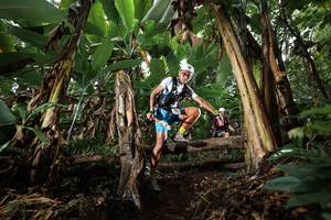 BIB: 
                            <button type="button" onclick="openModal(22418596)" class="btn btn-primary btn-sm float-right btn-popup" data-toggle="modal" data-target=".modal-high-quality">
                        <i class="fas fa-shopping-cart"></i> Add to Cart
                    </button>
                                            <button type="button" onclick="isThisMe(22418596, true)" class="btn btn-success btn-sm float-right btn-popup btn-isme hidden" data-toggle="tooltip" data-placement="bottom" title="นี่คือรูปของคุณใช่ไหม คลิกที่นี่เพื่อเอาเข้าอัลบั้ม">
                        <i class="fas fa-plus"></i> Add to album
                    </button>
                    <button type="button" onclick="isThisMe(22418596, false)" class="btn btn-warning btn-sm float-right btn-popup btn-isnotme hidden">
                        <i class="fas fa-ban"></i> Remove from album
                    </button>