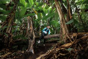 BIB: 
                            <button type="button" onclick="openModal(22389659)" class="btn btn-primary btn-sm float-right btn-popup" data-toggle="modal" data-target=".modal-high-quality">
                        <i class="fas fa-shopping-cart"></i> Add to Cart
                    </button>
                                            <button type="button" onclick="isThisMe(22389659, true)" class="btn btn-success btn-sm float-right btn-popup btn-isme hidden" data-toggle="tooltip" data-placement="bottom" title="นี่คือรูปของคุณใช่ไหม คลิกที่นี่เพื่อเอาเข้าอัลบั้ม">
                        <i class="fas fa-plus"></i> Add to album
                    </button>
                    <button type="button" onclick="isThisMe(22389659, false)" class="btn btn-warning btn-sm float-right btn-popup btn-isnotme hidden">
                        <i class="fas fa-ban"></i> Remove from album
                    </button>