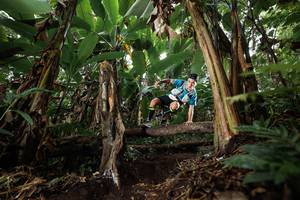 BIB: 
                            <button type="button" onclick="openModal(22398036)" class="btn btn-primary btn-sm float-right btn-popup" data-toggle="modal" data-target=".modal-high-quality">
                        <i class="fas fa-shopping-cart"></i> Add to Cart
                    </button>
                                            <button type="button" onclick="isThisMe(22398036, true)" class="btn btn-success btn-sm float-right btn-popup btn-isme hidden" data-toggle="tooltip" data-placement="bottom" title="นี่คือรูปของคุณใช่ไหม คลิกที่นี่เพื่อเอาเข้าอัลบั้ม">
                        <i class="fas fa-plus"></i> Add to album
                    </button>
                    <button type="button" onclick="isThisMe(22398036, false)" class="btn btn-warning btn-sm float-right btn-popup btn-isnotme hidden">
                        <i class="fas fa-ban"></i> Remove from album
                    </button>