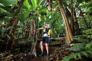 BIB: 2005
                            <button type="button" onclick="openModal(22393431)" class="btn btn-primary btn-sm float-right btn-popup" data-toggle="modal" data-target=".modal-high-quality">
                        <i class="fas fa-shopping-cart"></i> Add to Cart
                    </button>
                                            <button type="button" onclick="isThisMe(22393431, true)" class="btn btn-success btn-sm float-right btn-popup btn-isme hidden" data-toggle="tooltip" data-placement="bottom" title="นี่คือรูปของคุณใช่ไหม คลิกที่นี่เพื่อเอาเข้าอัลบั้ม">
                        <i class="fas fa-plus"></i> Add to album
                    </button>
                    <button type="button" onclick="isThisMe(22393431, false)" class="btn btn-warning btn-sm float-right btn-popup btn-isnotme hidden">
                        <i class="fas fa-ban"></i> Remove from album
                    </button>