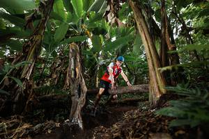 BIB: 
                            <button type="button" onclick="openModal(22394056)" class="btn btn-primary btn-sm float-right btn-popup" data-toggle="modal" data-target=".modal-high-quality">
                        <i class="fas fa-shopping-cart"></i> Add to Cart
                    </button>
                                            <button type="button" onclick="isThisMe(22394056, true)" class="btn btn-success btn-sm float-right btn-popup btn-isme hidden" data-toggle="tooltip" data-placement="bottom" title="นี่คือรูปของคุณใช่ไหม คลิกที่นี่เพื่อเอาเข้าอัลบั้ม">
                        <i class="fas fa-plus"></i> Add to album
                    </button>
                    <button type="button" onclick="isThisMe(22394056, false)" class="btn btn-warning btn-sm float-right btn-popup btn-isnotme hidden">
                        <i class="fas fa-ban"></i> Remove from album
                    </button>