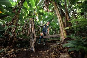 BIB: 
                            <button type="button" onclick="openModal(22398760)" class="btn btn-primary btn-sm float-right btn-popup" data-toggle="modal" data-target=".modal-high-quality">
                        <i class="fas fa-shopping-cart"></i> Add to Cart
                    </button>
                                            <button type="button" onclick="isThisMe(22398760, true)" class="btn btn-success btn-sm float-right btn-popup btn-isme hidden" data-toggle="tooltip" data-placement="bottom" title="นี่คือรูปของคุณใช่ไหม คลิกที่นี่เพื่อเอาเข้าอัลบั้ม">
                        <i class="fas fa-plus"></i> Add to album
                    </button>
                    <button type="button" onclick="isThisMe(22398760, false)" class="btn btn-warning btn-sm float-right btn-popup btn-isnotme hidden">
                        <i class="fas fa-ban"></i> Remove from album
                    </button>