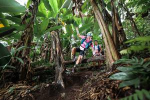 BIB: 
                            <button type="button" onclick="openModal(22415544)" class="btn btn-primary btn-sm float-right btn-popup" data-toggle="modal" data-target=".modal-high-quality">
                        <i class="fas fa-shopping-cart"></i> Add to Cart
                    </button>
                                            <button type="button" onclick="isThisMe(22415544, true)" class="btn btn-success btn-sm float-right btn-popup btn-isme hidden" data-toggle="tooltip" data-placement="bottom" title="นี่คือรูปของคุณใช่ไหม คลิกที่นี่เพื่อเอาเข้าอัลบั้ม">
                        <i class="fas fa-plus"></i> Add to album
                    </button>
                    <button type="button" onclick="isThisMe(22415544, false)" class="btn btn-warning btn-sm float-right btn-popup btn-isnotme hidden">
                        <i class="fas fa-ban"></i> Remove from album
                    </button>