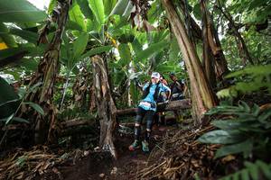 BIB: 
                            <button type="button" onclick="openModal(22415801)" class="btn btn-primary btn-sm float-right btn-popup" data-toggle="modal" data-target=".modal-high-quality">
                        <i class="fas fa-shopping-cart"></i> Add to Cart
                    </button>
                                            <button type="button" onclick="isThisMe(22415801, true)" class="btn btn-success btn-sm float-right btn-popup btn-isme hidden" data-toggle="tooltip" data-placement="bottom" title="นี่คือรูปของคุณใช่ไหม คลิกที่นี่เพื่อเอาเข้าอัลบั้ม">
                        <i class="fas fa-plus"></i> Add to album
                    </button>
                    <button type="button" onclick="isThisMe(22415801, false)" class="btn btn-warning btn-sm float-right btn-popup btn-isnotme hidden">
                        <i class="fas fa-ban"></i> Remove from album
                    </button>