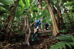 BIB: 
                            <button type="button" onclick="openModal(22393235)" class="btn btn-primary btn-sm float-right btn-popup" data-toggle="modal" data-target=".modal-high-quality">
                        <i class="fas fa-shopping-cart"></i> Add to Cart
                    </button>
                                            <button type="button" onclick="isThisMe(22393235, true)" class="btn btn-success btn-sm float-right btn-popup btn-isme hidden" data-toggle="tooltip" data-placement="bottom" title="นี่คือรูปของคุณใช่ไหม คลิกที่นี่เพื่อเอาเข้าอัลบั้ม">
                        <i class="fas fa-plus"></i> Add to album
                    </button>
                    <button type="button" onclick="isThisMe(22393235, false)" class="btn btn-warning btn-sm float-right btn-popup btn-isnotme hidden">
                        <i class="fas fa-ban"></i> Remove from album
                    </button>