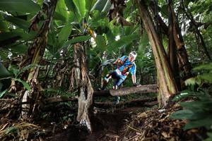 BIB: 
                            <button type="button" onclick="openModal(22420940)" class="btn btn-primary btn-sm float-right btn-popup" data-toggle="modal" data-target=".modal-high-quality">
                        <i class="fas fa-shopping-cart"></i> Add to Cart
                    </button>
                                            <button type="button" onclick="isThisMe(22420940, true)" class="btn btn-success btn-sm float-right btn-popup btn-isme hidden" data-toggle="tooltip" data-placement="bottom" title="นี่คือรูปของคุณใช่ไหม คลิกที่นี่เพื่อเอาเข้าอัลบั้ม">
                        <i class="fas fa-plus"></i> Add to album
                    </button>
                    <button type="button" onclick="isThisMe(22420940, false)" class="btn btn-warning btn-sm float-right btn-popup btn-isnotme hidden">
                        <i class="fas fa-ban"></i> Remove from album
                    </button>