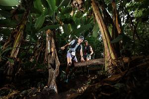 BIB: 
                            <button type="button" onclick="openModal(22392553)" class="btn btn-primary btn-sm float-right btn-popup" data-toggle="modal" data-target=".modal-high-quality">
                        <i class="fas fa-shopping-cart"></i> Add to Cart
                    </button>
                                            <button type="button" onclick="isThisMe(22392553, true)" class="btn btn-success btn-sm float-right btn-popup btn-isme hidden" data-toggle="tooltip" data-placement="bottom" title="นี่คือรูปของคุณใช่ไหม คลิกที่นี่เพื่อเอาเข้าอัลบั้ม">
                        <i class="fas fa-plus"></i> Add to album
                    </button>
                    <button type="button" onclick="isThisMe(22392553, false)" class="btn btn-warning btn-sm float-right btn-popup btn-isnotme hidden">
                        <i class="fas fa-ban"></i> Remove from album
                    </button>