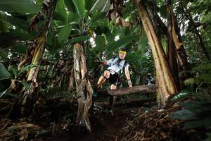 BIB: 
                            <button type="button" onclick="openModal(22419715)" class="btn btn-primary btn-sm float-right btn-popup" data-toggle="modal" data-target=".modal-high-quality">
                        <i class="fas fa-shopping-cart"></i> Add to Cart
                    </button>
                                            <button type="button" onclick="isThisMe(22419715, true)" class="btn btn-success btn-sm float-right btn-popup btn-isme hidden" data-toggle="tooltip" data-placement="bottom" title="นี่คือรูปของคุณใช่ไหม คลิกที่นี่เพื่อเอาเข้าอัลบั้ม">
                        <i class="fas fa-plus"></i> Add to album
                    </button>
                    <button type="button" onclick="isThisMe(22419715, false)" class="btn btn-warning btn-sm float-right btn-popup btn-isnotme hidden">
                        <i class="fas fa-ban"></i> Remove from album
                    </button>