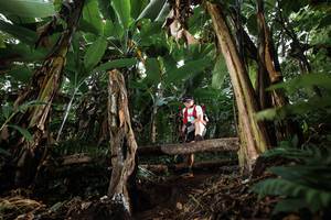 BIB: 
                            <button type="button" onclick="openModal(22413459)" class="btn btn-primary btn-sm float-right btn-popup" data-toggle="modal" data-target=".modal-high-quality">
                        <i class="fas fa-shopping-cart"></i> Add to Cart
                    </button>
                                            <button type="button" onclick="isThisMe(22413459, true)" class="btn btn-success btn-sm float-right btn-popup btn-isme hidden" data-toggle="tooltip" data-placement="bottom" title="นี่คือรูปของคุณใช่ไหม คลิกที่นี่เพื่อเอาเข้าอัลบั้ม">
                        <i class="fas fa-plus"></i> Add to album
                    </button>
                    <button type="button" onclick="isThisMe(22413459, false)" class="btn btn-warning btn-sm float-right btn-popup btn-isnotme hidden">
                        <i class="fas fa-ban"></i> Remove from album
                    </button>