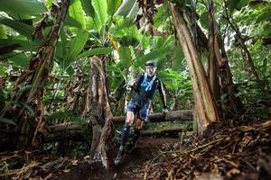 BIB: 
                            <button type="button" onclick="openModal(22392936)" class="btn btn-primary btn-sm float-right btn-popup" data-toggle="modal" data-target=".modal-high-quality">
                        <i class="fas fa-shopping-cart"></i> Add to Cart
                    </button>
                                            <button type="button" onclick="isThisMe(22392936, true)" class="btn btn-success btn-sm float-right btn-popup btn-isme hidden" data-toggle="tooltip" data-placement="bottom" title="นี่คือรูปของคุณใช่ไหม คลิกที่นี่เพื่อเอาเข้าอัลบั้ม">
                        <i class="fas fa-plus"></i> Add to album
                    </button>
                    <button type="button" onclick="isThisMe(22392936, false)" class="btn btn-warning btn-sm float-right btn-popup btn-isnotme hidden">
                        <i class="fas fa-ban"></i> Remove from album
                    </button>