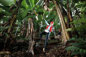 BIB: 0295
                            <button type="button" onclick="openModal(22414342)" class="btn btn-primary btn-sm float-right btn-popup" data-toggle="modal" data-target=".modal-high-quality">
                        <i class="fas fa-shopping-cart"></i> Add to Cart
                    </button>
                                            <button type="button" onclick="isThisMe(22414342, true)" class="btn btn-success btn-sm float-right btn-popup btn-isme hidden" data-toggle="tooltip" data-placement="bottom" title="นี่คือรูปของคุณใช่ไหม คลิกที่นี่เพื่อเอาเข้าอัลบั้ม">
                        <i class="fas fa-plus"></i> Add to album
                    </button>
                    <button type="button" onclick="isThisMe(22414342, false)" class="btn btn-warning btn-sm float-right btn-popup btn-isnotme hidden">
                        <i class="fas fa-ban"></i> Remove from album
                    </button>