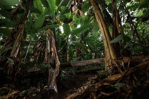 BIB: 
                            <button type="button" onclick="openModal(22392604)" class="btn btn-primary btn-sm float-right btn-popup" data-toggle="modal" data-target=".modal-high-quality">
                        <i class="fas fa-shopping-cart"></i> Add to Cart
                    </button>
                                            <button type="button" onclick="isThisMe(22392604, true)" class="btn btn-success btn-sm float-right btn-popup btn-isme hidden" data-toggle="tooltip" data-placement="bottom" title="นี่คือรูปของคุณใช่ไหม คลิกที่นี่เพื่อเอาเข้าอัลบั้ม">
                        <i class="fas fa-plus"></i> Add to album
                    </button>
                    <button type="button" onclick="isThisMe(22392604, false)" class="btn btn-warning btn-sm float-right btn-popup btn-isnotme hidden">
                        <i class="fas fa-ban"></i> Remove from album
                    </button>