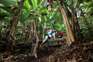 BIB: 
                            <button type="button" onclick="openModal(22392971)" class="btn btn-primary btn-sm float-right btn-popup" data-toggle="modal" data-target=".modal-high-quality">
                        <i class="fas fa-shopping-cart"></i> Add to Cart
                    </button>
                                            <button type="button" onclick="isThisMe(22392971, true)" class="btn btn-success btn-sm float-right btn-popup btn-isme hidden" data-toggle="tooltip" data-placement="bottom" title="นี่คือรูปของคุณใช่ไหม คลิกที่นี่เพื่อเอาเข้าอัลบั้ม">
                        <i class="fas fa-plus"></i> Add to album
                    </button>
                    <button type="button" onclick="isThisMe(22392971, false)" class="btn btn-warning btn-sm float-right btn-popup btn-isnotme hidden">
                        <i class="fas fa-ban"></i> Remove from album
                    </button>