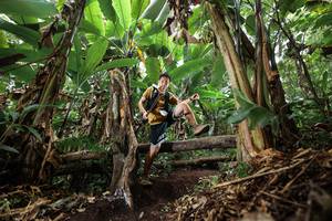 BIB: 
                            <button type="button" onclick="openModal(22392884)" class="btn btn-primary btn-sm float-right btn-popup" data-toggle="modal" data-target=".modal-high-quality">
                        <i class="fas fa-shopping-cart"></i> Add to Cart
                    </button>
                                            <button type="button" onclick="isThisMe(22392884, true)" class="btn btn-success btn-sm float-right btn-popup btn-isme hidden" data-toggle="tooltip" data-placement="bottom" title="นี่คือรูปของคุณใช่ไหม คลิกที่นี่เพื่อเอาเข้าอัลบั้ม">
                        <i class="fas fa-plus"></i> Add to album
                    </button>
                    <button type="button" onclick="isThisMe(22392884, false)" class="btn btn-warning btn-sm float-right btn-popup btn-isnotme hidden">
                        <i class="fas fa-ban"></i> Remove from album
                    </button>