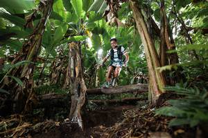 BIB: 
                            <button type="button" onclick="openModal(22397861)" class="btn btn-primary btn-sm float-right btn-popup" data-toggle="modal" data-target=".modal-high-quality">
                        <i class="fas fa-shopping-cart"></i> Add to Cart
                    </button>
                                            <button type="button" onclick="isThisMe(22397861, true)" class="btn btn-success btn-sm float-right btn-popup btn-isme hidden" data-toggle="tooltip" data-placement="bottom" title="นี่คือรูปของคุณใช่ไหม คลิกที่นี่เพื่อเอาเข้าอัลบั้ม">
                        <i class="fas fa-plus"></i> Add to album
                    </button>
                    <button type="button" onclick="isThisMe(22397861, false)" class="btn btn-warning btn-sm float-right btn-popup btn-isnotme hidden">
                        <i class="fas fa-ban"></i> Remove from album
                    </button>