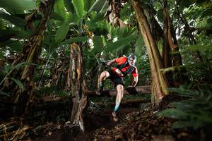 BIB: 
                            <button type="button" onclick="openModal(22394018)" class="btn btn-primary btn-sm float-right btn-popup" data-toggle="modal" data-target=".modal-high-quality">
                        <i class="fas fa-shopping-cart"></i> Add to Cart
                    </button>
                                            <button type="button" onclick="isThisMe(22394018, true)" class="btn btn-success btn-sm float-right btn-popup btn-isme hidden" data-toggle="tooltip" data-placement="bottom" title="นี่คือรูปของคุณใช่ไหม คลิกที่นี่เพื่อเอาเข้าอัลบั้ม">
                        <i class="fas fa-plus"></i> Add to album
                    </button>
                    <button type="button" onclick="isThisMe(22394018, false)" class="btn btn-warning btn-sm float-right btn-popup btn-isnotme hidden">
                        <i class="fas fa-ban"></i> Remove from album
                    </button>