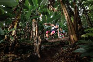 BIB: 
                            <button type="button" onclick="openModal(22419323)" class="btn btn-primary btn-sm float-right btn-popup" data-toggle="modal" data-target=".modal-high-quality">
                        <i class="fas fa-shopping-cart"></i> Add to Cart
                    </button>
                                            <button type="button" onclick="isThisMe(22419323, true)" class="btn btn-success btn-sm float-right btn-popup btn-isme hidden" data-toggle="tooltip" data-placement="bottom" title="นี่คือรูปของคุณใช่ไหม คลิกที่นี่เพื่อเอาเข้าอัลบั้ม">
                        <i class="fas fa-plus"></i> Add to album
                    </button>
                    <button type="button" onclick="isThisMe(22419323, false)" class="btn btn-warning btn-sm float-right btn-popup btn-isnotme hidden">
                        <i class="fas fa-ban"></i> Remove from album
                    </button>