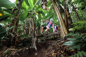 BIB: 
                            <button type="button" onclick="openModal(22415539)" class="btn btn-primary btn-sm float-right btn-popup" data-toggle="modal" data-target=".modal-high-quality">
                        <i class="fas fa-shopping-cart"></i> Add to Cart
                    </button>
                                            <button type="button" onclick="isThisMe(22415539, true)" class="btn btn-success btn-sm float-right btn-popup btn-isme hidden" data-toggle="tooltip" data-placement="bottom" title="นี่คือรูปของคุณใช่ไหม คลิกที่นี่เพื่อเอาเข้าอัลบั้ม">
                        <i class="fas fa-plus"></i> Add to album
                    </button>
                    <button type="button" onclick="isThisMe(22415539, false)" class="btn btn-warning btn-sm float-right btn-popup btn-isnotme hidden">
                        <i class="fas fa-ban"></i> Remove from album
                    </button>