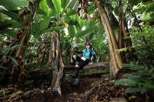 BIB: 
                            <button type="button" onclick="openModal(22397912)" class="btn btn-primary btn-sm float-right btn-popup" data-toggle="modal" data-target=".modal-high-quality">
                        <i class="fas fa-shopping-cart"></i> Add to Cart
                    </button>
                                            <button type="button" onclick="isThisMe(22397912, true)" class="btn btn-success btn-sm float-right btn-popup btn-isme hidden" data-toggle="tooltip" data-placement="bottom" title="นี่คือรูปของคุณใช่ไหม คลิกที่นี่เพื่อเอาเข้าอัลบั้ม">
                        <i class="fas fa-plus"></i> Add to album
                    </button>
                    <button type="button" onclick="isThisMe(22397912, false)" class="btn btn-warning btn-sm float-right btn-popup btn-isnotme hidden">
                        <i class="fas fa-ban"></i> Remove from album
                    </button>