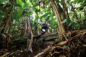 BIB: 
                            <button type="button" onclick="openModal(22392690)" class="btn btn-primary btn-sm float-right btn-popup" data-toggle="modal" data-target=".modal-high-quality">
                        <i class="fas fa-shopping-cart"></i> Add to Cart
                    </button>
                                            <button type="button" onclick="isThisMe(22392690, true)" class="btn btn-success btn-sm float-right btn-popup btn-isme hidden" data-toggle="tooltip" data-placement="bottom" title="นี่คือรูปของคุณใช่ไหม คลิกที่นี่เพื่อเอาเข้าอัลบั้ม">
                        <i class="fas fa-plus"></i> Add to album
                    </button>
                    <button type="button" onclick="isThisMe(22392690, false)" class="btn btn-warning btn-sm float-right btn-popup btn-isnotme hidden">
                        <i class="fas fa-ban"></i> Remove from album
                    </button>