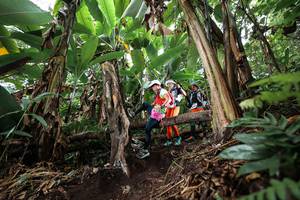 BIB: 
                            <button type="button" onclick="openModal(22415295)" class="btn btn-primary btn-sm float-right btn-popup" data-toggle="modal" data-target=".modal-high-quality">
                        <i class="fas fa-shopping-cart"></i> Add to Cart
                    </button>
                                            <button type="button" onclick="isThisMe(22415295, true)" class="btn btn-success btn-sm float-right btn-popup btn-isme hidden" data-toggle="tooltip" data-placement="bottom" title="นี่คือรูปของคุณใช่ไหม คลิกที่นี่เพื่อเอาเข้าอัลบั้ม">
                        <i class="fas fa-plus"></i> Add to album
                    </button>
                    <button type="button" onclick="isThisMe(22415295, false)" class="btn btn-warning btn-sm float-right btn-popup btn-isnotme hidden">
                        <i class="fas fa-ban"></i> Remove from album
                    </button>