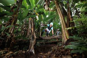 BIB: 
                            <button type="button" onclick="openModal(22397980)" class="btn btn-primary btn-sm float-right btn-popup" data-toggle="modal" data-target=".modal-high-quality">
                        <i class="fas fa-shopping-cart"></i> Add to Cart
                    </button>
                                            <button type="button" onclick="isThisMe(22397980, true)" class="btn btn-success btn-sm float-right btn-popup btn-isme hidden" data-toggle="tooltip" data-placement="bottom" title="นี่คือรูปของคุณใช่ไหม คลิกที่นี่เพื่อเอาเข้าอัลบั้ม">
                        <i class="fas fa-plus"></i> Add to album
                    </button>
                    <button type="button" onclick="isThisMe(22397980, false)" class="btn btn-warning btn-sm float-right btn-popup btn-isnotme hidden">
                        <i class="fas fa-ban"></i> Remove from album
                    </button>