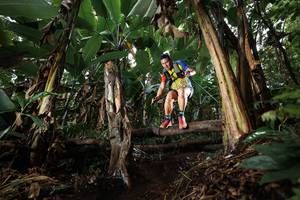 BIB: 
                            <button type="button" onclick="openModal(22419515)" class="btn btn-primary btn-sm float-right btn-popup" data-toggle="modal" data-target=".modal-high-quality">
                        <i class="fas fa-shopping-cart"></i> Add to Cart
                    </button>
                                            <button type="button" onclick="isThisMe(22419515, true)" class="btn btn-success btn-sm float-right btn-popup btn-isme hidden" data-toggle="tooltip" data-placement="bottom" title="นี่คือรูปของคุณใช่ไหม คลิกที่นี่เพื่อเอาเข้าอัลบั้ม">
                        <i class="fas fa-plus"></i> Add to album
                    </button>
                    <button type="button" onclick="isThisMe(22419515, false)" class="btn btn-warning btn-sm float-right btn-popup btn-isnotme hidden">
                        <i class="fas fa-ban"></i> Remove from album
                    </button>