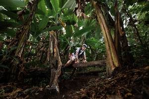 BIB: 
                            <button type="button" onclick="openModal(22393052)" class="btn btn-primary btn-sm float-right btn-popup" data-toggle="modal" data-target=".modal-high-quality">
                        <i class="fas fa-shopping-cart"></i> Add to Cart
                    </button>
                                            <button type="button" onclick="isThisMe(22393052, true)" class="btn btn-success btn-sm float-right btn-popup btn-isme hidden" data-toggle="tooltip" data-placement="bottom" title="นี่คือรูปของคุณใช่ไหม คลิกที่นี่เพื่อเอาเข้าอัลบั้ม">
                        <i class="fas fa-plus"></i> Add to album
                    </button>
                    <button type="button" onclick="isThisMe(22393052, false)" class="btn btn-warning btn-sm float-right btn-popup btn-isnotme hidden">
                        <i class="fas fa-ban"></i> Remove from album
                    </button>