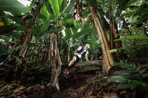 BIB: 
                            <button type="button" onclick="openModal(22398960)" class="btn btn-primary btn-sm float-right btn-popup" data-toggle="modal" data-target=".modal-high-quality">
                        <i class="fas fa-shopping-cart"></i> Add to Cart
                    </button>
                                            <button type="button" onclick="isThisMe(22398960, true)" class="btn btn-success btn-sm float-right btn-popup btn-isme hidden" data-toggle="tooltip" data-placement="bottom" title="นี่คือรูปของคุณใช่ไหม คลิกที่นี่เพื่อเอาเข้าอัลบั้ม">
                        <i class="fas fa-plus"></i> Add to album
                    </button>
                    <button type="button" onclick="isThisMe(22398960, false)" class="btn btn-warning btn-sm float-right btn-popup btn-isnotme hidden">
                        <i class="fas fa-ban"></i> Remove from album
                    </button>