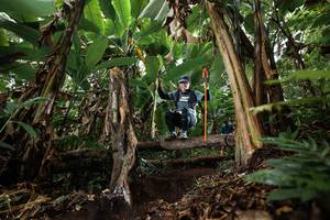 BIB: 
                            <button type="button" onclick="openModal(22394173)" class="btn btn-primary btn-sm float-right btn-popup" data-toggle="modal" data-target=".modal-high-quality">
                        <i class="fas fa-shopping-cart"></i> Add to Cart
                    </button>
                                            <button type="button" onclick="isThisMe(22394173, true)" class="btn btn-success btn-sm float-right btn-popup btn-isme hidden" data-toggle="tooltip" data-placement="bottom" title="นี่คือรูปของคุณใช่ไหม คลิกที่นี่เพื่อเอาเข้าอัลบั้ม">
                        <i class="fas fa-plus"></i> Add to album
                    </button>
                    <button type="button" onclick="isThisMe(22394173, false)" class="btn btn-warning btn-sm float-right btn-popup btn-isnotme hidden">
                        <i class="fas fa-ban"></i> Remove from album
                    </button>