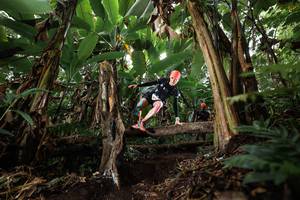 BIB: 
                            <button type="button" onclick="openModal(22398226)" class="btn btn-primary btn-sm float-right btn-popup" data-toggle="modal" data-target=".modal-high-quality">
                        <i class="fas fa-shopping-cart"></i> Add to Cart
                    </button>
                                            <button type="button" onclick="isThisMe(22398226, true)" class="btn btn-success btn-sm float-right btn-popup btn-isme hidden" data-toggle="tooltip" data-placement="bottom" title="นี่คือรูปของคุณใช่ไหม คลิกที่นี่เพื่อเอาเข้าอัลบั้ม">
                        <i class="fas fa-plus"></i> Add to album
                    </button>
                    <button type="button" onclick="isThisMe(22398226, false)" class="btn btn-warning btn-sm float-right btn-popup btn-isnotme hidden">
                        <i class="fas fa-ban"></i> Remove from album
                    </button>