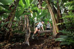 BIB: 
                            <button type="button" onclick="openModal(22397798)" class="btn btn-primary btn-sm float-right btn-popup" data-toggle="modal" data-target=".modal-high-quality">
                        <i class="fas fa-shopping-cart"></i> Add to Cart
                    </button>
                                            <button type="button" onclick="isThisMe(22397798, true)" class="btn btn-success btn-sm float-right btn-popup btn-isme hidden" data-toggle="tooltip" data-placement="bottom" title="นี่คือรูปของคุณใช่ไหม คลิกที่นี่เพื่อเอาเข้าอัลบั้ม">
                        <i class="fas fa-plus"></i> Add to album
                    </button>
                    <button type="button" onclick="isThisMe(22397798, false)" class="btn btn-warning btn-sm float-right btn-popup btn-isnotme hidden">
                        <i class="fas fa-ban"></i> Remove from album
                    </button>