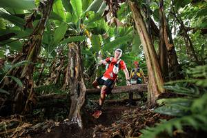 BIB: 
                            <button type="button" onclick="openModal(22393481)" class="btn btn-primary btn-sm float-right btn-popup" data-toggle="modal" data-target=".modal-high-quality">
                        <i class="fas fa-shopping-cart"></i> Add to Cart
                    </button>
                                            <button type="button" onclick="isThisMe(22393481, true)" class="btn btn-success btn-sm float-right btn-popup btn-isme hidden" data-toggle="tooltip" data-placement="bottom" title="นี่คือรูปของคุณใช่ไหม คลิกที่นี่เพื่อเอาเข้าอัลบั้ม">
                        <i class="fas fa-plus"></i> Add to album
                    </button>
                    <button type="button" onclick="isThisMe(22393481, false)" class="btn btn-warning btn-sm float-right btn-popup btn-isnotme hidden">
                        <i class="fas fa-ban"></i> Remove from album
                    </button>