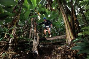 BIB: 
                            <button type="button" onclick="openModal(22420771)" class="btn btn-primary btn-sm float-right btn-popup" data-toggle="modal" data-target=".modal-high-quality">
                        <i class="fas fa-shopping-cart"></i> Add to Cart
                    </button>
                                            <button type="button" onclick="isThisMe(22420771, true)" class="btn btn-success btn-sm float-right btn-popup btn-isme hidden" data-toggle="tooltip" data-placement="bottom" title="นี่คือรูปของคุณใช่ไหม คลิกที่นี่เพื่อเอาเข้าอัลบั้ม">
                        <i class="fas fa-plus"></i> Add to album
                    </button>
                    <button type="button" onclick="isThisMe(22420771, false)" class="btn btn-warning btn-sm float-right btn-popup btn-isnotme hidden">
                        <i class="fas fa-ban"></i> Remove from album
                    </button>