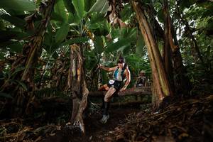 BIB: 2000
                            <button type="button" onclick="openModal(22393063)" class="btn btn-primary btn-sm float-right btn-popup" data-toggle="modal" data-target=".modal-high-quality">
                        <i class="fas fa-shopping-cart"></i> Add to Cart
                    </button>
                                            <button type="button" onclick="isThisMe(22393063, true)" class="btn btn-success btn-sm float-right btn-popup btn-isme hidden" data-toggle="tooltip" data-placement="bottom" title="นี่คือรูปของคุณใช่ไหม คลิกที่นี่เพื่อเอาเข้าอัลบั้ม">
                        <i class="fas fa-plus"></i> Add to album
                    </button>
                    <button type="button" onclick="isThisMe(22393063, false)" class="btn btn-warning btn-sm float-right btn-popup btn-isnotme hidden">
                        <i class="fas fa-ban"></i> Remove from album
                    </button>