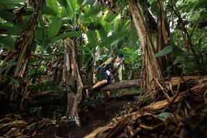 BIB: 
                            <button type="button" onclick="openModal(22388857)" class="btn btn-primary btn-sm float-right btn-popup" data-toggle="modal" data-target=".modal-high-quality">
                        <i class="fas fa-shopping-cart"></i> Add to Cart
                    </button>
                                            <button type="button" onclick="isThisMe(22388857, true)" class="btn btn-success btn-sm float-right btn-popup btn-isme hidden" data-toggle="tooltip" data-placement="bottom" title="นี่คือรูปของคุณใช่ไหม คลิกที่นี่เพื่อเอาเข้าอัลบั้ม">
                        <i class="fas fa-plus"></i> Add to album
                    </button>
                    <button type="button" onclick="isThisMe(22388857, false)" class="btn btn-warning btn-sm float-right btn-popup btn-isnotme hidden">
                        <i class="fas fa-ban"></i> Remove from album
                    </button>