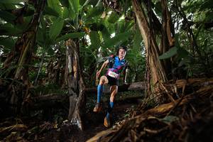 BIB: 
                            <button type="button" onclick="openModal(22387601)" class="btn btn-primary btn-sm float-right btn-popup" data-toggle="modal" data-target=".modal-high-quality">
                        <i class="fas fa-shopping-cart"></i> Add to Cart
                    </button>
                                            <button type="button" onclick="isThisMe(22387601, true)" class="btn btn-success btn-sm float-right btn-popup btn-isme hidden" data-toggle="tooltip" data-placement="bottom" title="นี่คือรูปของคุณใช่ไหม คลิกที่นี่เพื่อเอาเข้าอัลบั้ม">
                        <i class="fas fa-plus"></i> Add to album
                    </button>
                    <button type="button" onclick="isThisMe(22387601, false)" class="btn btn-warning btn-sm float-right btn-popup btn-isnotme hidden">
                        <i class="fas fa-ban"></i> Remove from album
                    </button>