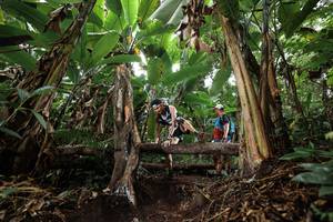 BIB: 
                            <button type="button" onclick="openModal(22416352)" class="btn btn-primary btn-sm float-right btn-popup" data-toggle="modal" data-target=".modal-high-quality">
                        <i class="fas fa-shopping-cart"></i> Add to Cart
                    </button>
                                            <button type="button" onclick="isThisMe(22416352, true)" class="btn btn-success btn-sm float-right btn-popup btn-isme hidden" data-toggle="tooltip" data-placement="bottom" title="นี่คือรูปของคุณใช่ไหม คลิกที่นี่เพื่อเอาเข้าอัลบั้ม">
                        <i class="fas fa-plus"></i> Add to album
                    </button>
                    <button type="button" onclick="isThisMe(22416352, false)" class="btn btn-warning btn-sm float-right btn-popup btn-isnotme hidden">
                        <i class="fas fa-ban"></i> Remove from album
                    </button>