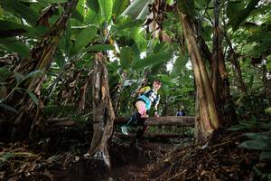 BIB: 
                            <button type="button" onclick="openModal(22417069)" class="btn btn-primary btn-sm float-right btn-popup" data-toggle="modal" data-target=".modal-high-quality">
                        <i class="fas fa-shopping-cart"></i> Add to Cart
                    </button>
                                            <button type="button" onclick="isThisMe(22417069, true)" class="btn btn-success btn-sm float-right btn-popup btn-isme hidden" data-toggle="tooltip" data-placement="bottom" title="นี่คือรูปของคุณใช่ไหม คลิกที่นี่เพื่อเอาเข้าอัลบั้ม">
                        <i class="fas fa-plus"></i> Add to album
                    </button>
                    <button type="button" onclick="isThisMe(22417069, false)" class="btn btn-warning btn-sm float-right btn-popup btn-isnotme hidden">
                        <i class="fas fa-ban"></i> Remove from album
                    </button>