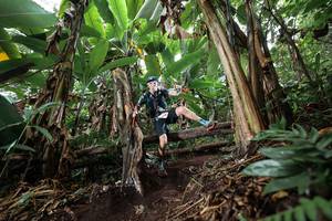 BIB: 
                            <button type="button" onclick="openModal(22415290)" class="btn btn-primary btn-sm float-right btn-popup" data-toggle="modal" data-target=".modal-high-quality">
                        <i class="fas fa-shopping-cart"></i> Add to Cart
                    </button>
                                            <button type="button" onclick="isThisMe(22415290, true)" class="btn btn-success btn-sm float-right btn-popup btn-isme hidden" data-toggle="tooltip" data-placement="bottom" title="นี่คือรูปของคุณใช่ไหม คลิกที่นี่เพื่อเอาเข้าอัลบั้ม">
                        <i class="fas fa-plus"></i> Add to album
                    </button>
                    <button type="button" onclick="isThisMe(22415290, false)" class="btn btn-warning btn-sm float-right btn-popup btn-isnotme hidden">
                        <i class="fas fa-ban"></i> Remove from album
                    </button>