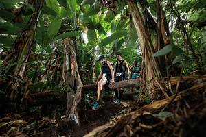 BIB: 
                            <button type="button" onclick="openModal(22388348)" class="btn btn-primary btn-sm float-right btn-popup" data-toggle="modal" data-target=".modal-high-quality">
                        <i class="fas fa-shopping-cart"></i> Add to Cart
                    </button>
                                            <button type="button" onclick="isThisMe(22388348, true)" class="btn btn-success btn-sm float-right btn-popup btn-isme hidden" data-toggle="tooltip" data-placement="bottom" title="นี่คือรูปของคุณใช่ไหม คลิกที่นี่เพื่อเอาเข้าอัลบั้ม">
                        <i class="fas fa-plus"></i> Add to album
                    </button>
                    <button type="button" onclick="isThisMe(22388348, false)" class="btn btn-warning btn-sm float-right btn-popup btn-isnotme hidden">
                        <i class="fas fa-ban"></i> Remove from album
                    </button>