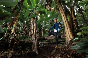 BIB: 
                            <button type="button" onclick="openModal(22419026)" class="btn btn-primary btn-sm float-right btn-popup" data-toggle="modal" data-target=".modal-high-quality">
                        <i class="fas fa-shopping-cart"></i> Add to Cart
                    </button>
                                            <button type="button" onclick="isThisMe(22419026, true)" class="btn btn-success btn-sm float-right btn-popup btn-isme hidden" data-toggle="tooltip" data-placement="bottom" title="นี่คือรูปของคุณใช่ไหม คลิกที่นี่เพื่อเอาเข้าอัลบั้ม">
                        <i class="fas fa-plus"></i> Add to album
                    </button>
                    <button type="button" onclick="isThisMe(22419026, false)" class="btn btn-warning btn-sm float-right btn-popup btn-isnotme hidden">
                        <i class="fas fa-ban"></i> Remove from album
                    </button>