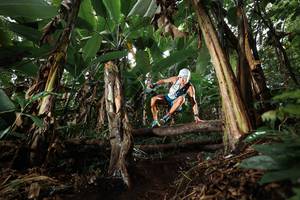 BIB: 
                            <button type="button" onclick="openModal(22419244)" class="btn btn-primary btn-sm float-right btn-popup" data-toggle="modal" data-target=".modal-high-quality">
                        <i class="fas fa-shopping-cart"></i> Add to Cart
                    </button>
                                            <button type="button" onclick="isThisMe(22419244, true)" class="btn btn-success btn-sm float-right btn-popup btn-isme hidden" data-toggle="tooltip" data-placement="bottom" title="นี่คือรูปของคุณใช่ไหม คลิกที่นี่เพื่อเอาเข้าอัลบั้ม">
                        <i class="fas fa-plus"></i> Add to album
                    </button>
                    <button type="button" onclick="isThisMe(22419244, false)" class="btn btn-warning btn-sm float-right btn-popup btn-isnotme hidden">
                        <i class="fas fa-ban"></i> Remove from album
                    </button>