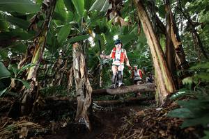 BIB: 
                            <button type="button" onclick="openModal(22419777)" class="btn btn-primary btn-sm float-right btn-popup" data-toggle="modal" data-target=".modal-high-quality">
                        <i class="fas fa-shopping-cart"></i> Add to Cart
                    </button>
                                            <button type="button" onclick="isThisMe(22419777, true)" class="btn btn-success btn-sm float-right btn-popup btn-isme hidden" data-toggle="tooltip" data-placement="bottom" title="นี่คือรูปของคุณใช่ไหม คลิกที่นี่เพื่อเอาเข้าอัลบั้ม">
                        <i class="fas fa-plus"></i> Add to album
                    </button>
                    <button type="button" onclick="isThisMe(22419777, false)" class="btn btn-warning btn-sm float-right btn-popup btn-isnotme hidden">
                        <i class="fas fa-ban"></i> Remove from album
                    </button>