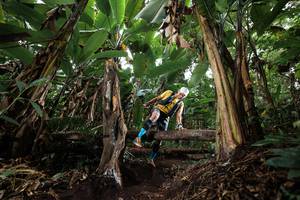 BIB: 
                            <button type="button" onclick="openModal(22417674)" class="btn btn-primary btn-sm float-right btn-popup" data-toggle="modal" data-target=".modal-high-quality">
                        <i class="fas fa-shopping-cart"></i> Add to Cart
                    </button>
                                            <button type="button" onclick="isThisMe(22417674, true)" class="btn btn-success btn-sm float-right btn-popup btn-isme hidden" data-toggle="tooltip" data-placement="bottom" title="นี่คือรูปของคุณใช่ไหม คลิกที่นี่เพื่อเอาเข้าอัลบั้ม">
                        <i class="fas fa-plus"></i> Add to album
                    </button>
                    <button type="button" onclick="isThisMe(22417674, false)" class="btn btn-warning btn-sm float-right btn-popup btn-isnotme hidden">
                        <i class="fas fa-ban"></i> Remove from album
                    </button>