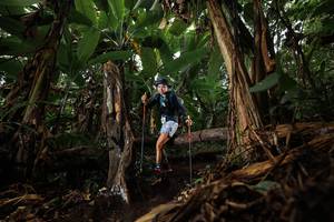 BIB: 2014
                            <button type="button" onclick="openModal(22387640)" class="btn btn-primary btn-sm float-right btn-popup" data-toggle="modal" data-target=".modal-high-quality">
                        <i class="fas fa-shopping-cart"></i> Add to Cart
                    </button>
                                            <button type="button" onclick="isThisMe(22387640, true)" class="btn btn-success btn-sm float-right btn-popup btn-isme hidden" data-toggle="tooltip" data-placement="bottom" title="นี่คือรูปของคุณใช่ไหม คลิกที่นี่เพื่อเอาเข้าอัลบั้ม">
                        <i class="fas fa-plus"></i> Add to album
                    </button>
                    <button type="button" onclick="isThisMe(22387640, false)" class="btn btn-warning btn-sm float-right btn-popup btn-isnotme hidden">
                        <i class="fas fa-ban"></i> Remove from album
                    </button>