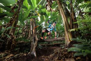 BIB: 
                            <button type="button" onclick="openModal(22398571)" class="btn btn-primary btn-sm float-right btn-popup" data-toggle="modal" data-target=".modal-high-quality">
                        <i class="fas fa-shopping-cart"></i> Add to Cart
                    </button>
                                            <button type="button" onclick="isThisMe(22398571, true)" class="btn btn-success btn-sm float-right btn-popup btn-isme hidden" data-toggle="tooltip" data-placement="bottom" title="นี่คือรูปของคุณใช่ไหม คลิกที่นี่เพื่อเอาเข้าอัลบั้ม">
                        <i class="fas fa-plus"></i> Add to album
                    </button>
                    <button type="button" onclick="isThisMe(22398571, false)" class="btn btn-warning btn-sm float-right btn-popup btn-isnotme hidden">
                        <i class="fas fa-ban"></i> Remove from album
                    </button>