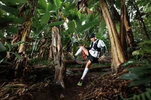 BIB: 
                            <button type="button" onclick="openModal(22418497)" class="btn btn-primary btn-sm float-right btn-popup" data-toggle="modal" data-target=".modal-high-quality">
                        <i class="fas fa-shopping-cart"></i> Add to Cart
                    </button>
                                            <button type="button" onclick="isThisMe(22418497, true)" class="btn btn-success btn-sm float-right btn-popup btn-isme hidden" data-toggle="tooltip" data-placement="bottom" title="นี่คือรูปของคุณใช่ไหม คลิกที่นี่เพื่อเอาเข้าอัลบั้ม">
                        <i class="fas fa-plus"></i> Add to album
                    </button>
                    <button type="button" onclick="isThisMe(22418497, false)" class="btn btn-warning btn-sm float-right btn-popup btn-isnotme hidden">
                        <i class="fas fa-ban"></i> Remove from album
                    </button>